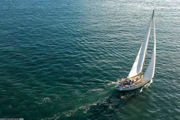 成人体育培训市场现状与机构排名(图1)